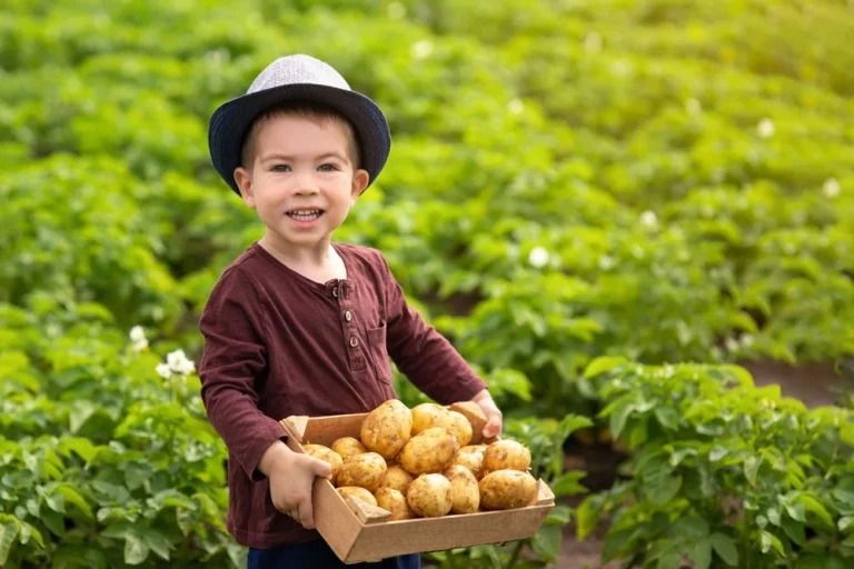 hur många i Sverige heter potatis
