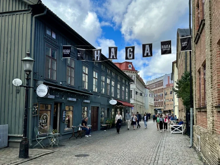 Haga Göteborg