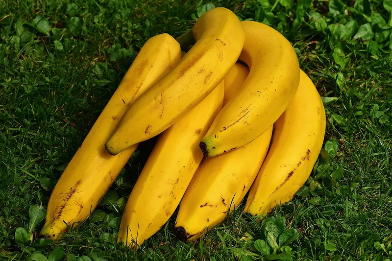 Gula bananer på köksbord